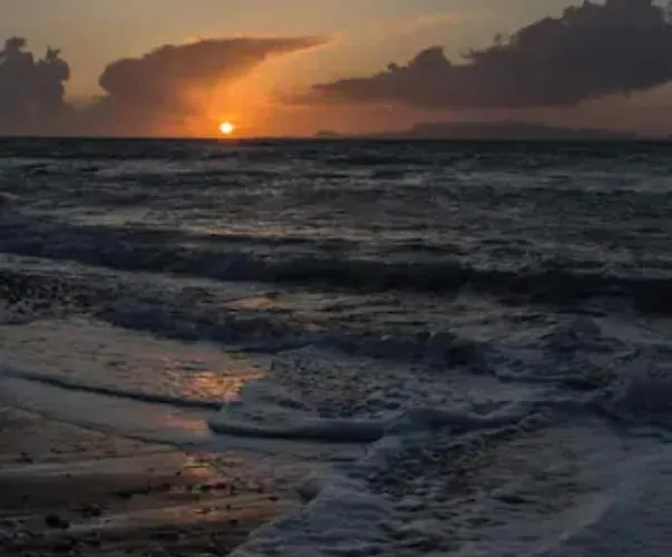 Nitsas Studio's 招待所 3*